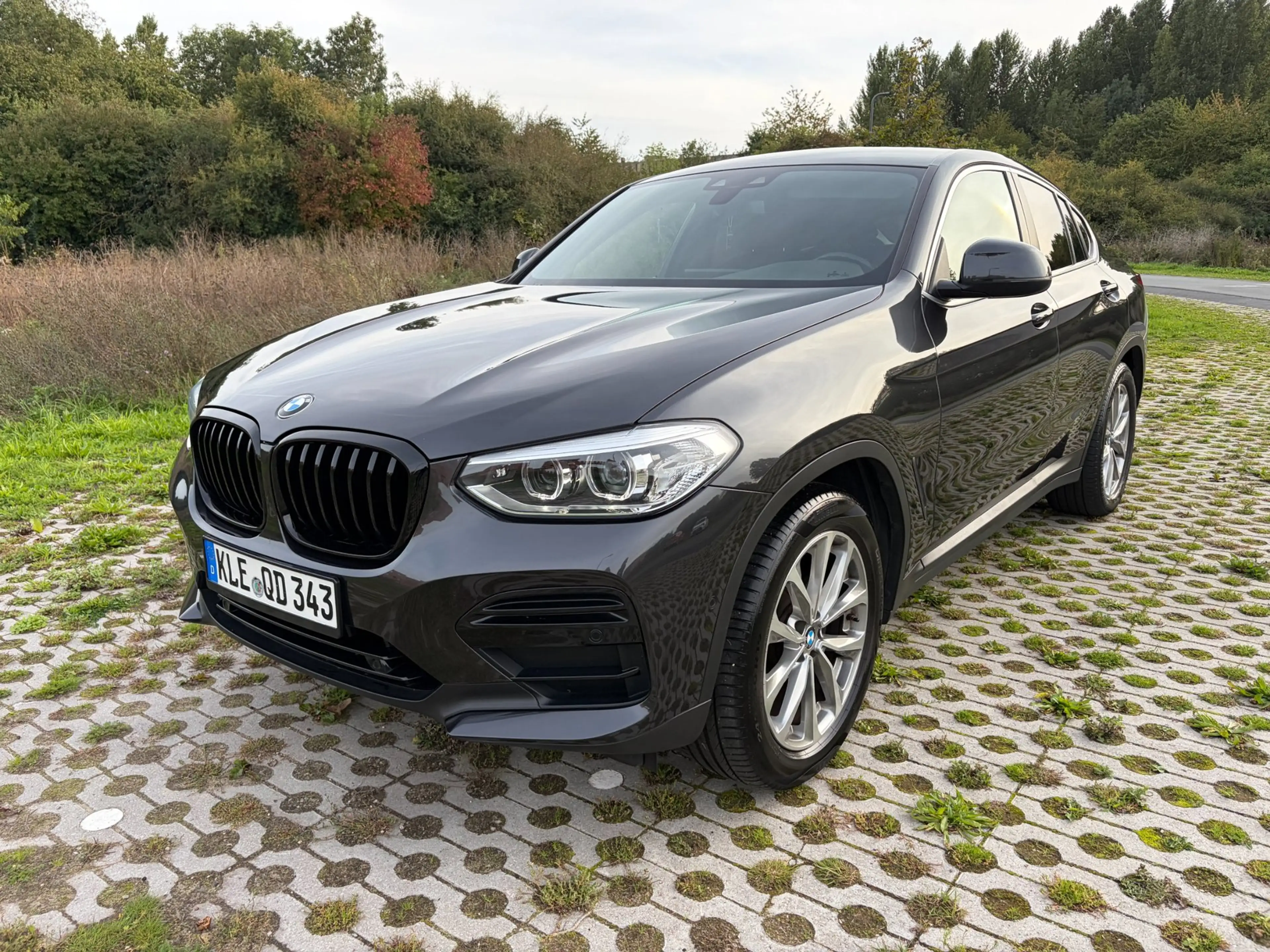 BMW X4 XDrive20i Executive Led TrekH Top Staat — photo 6