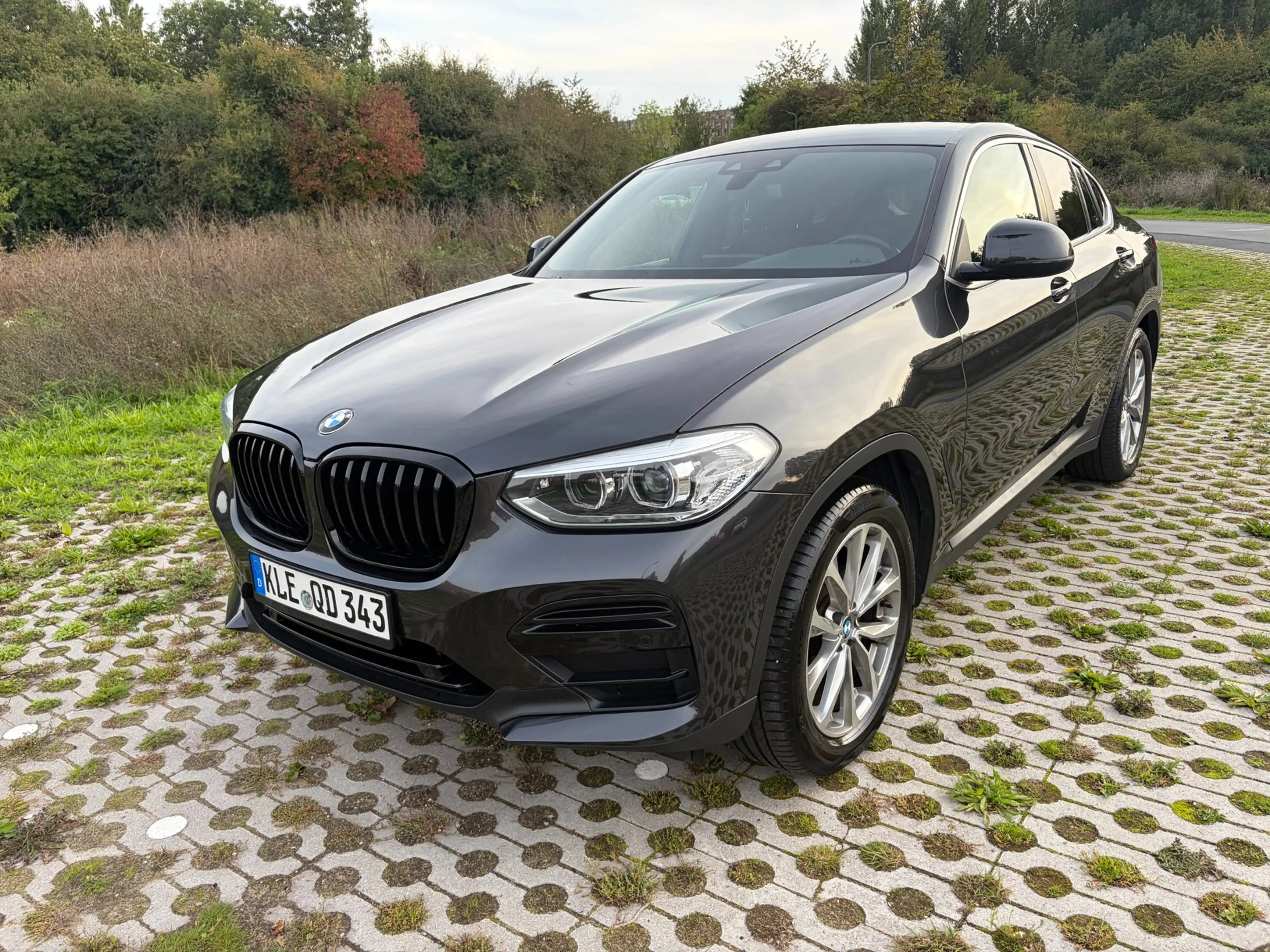 BMW X4 XDrive20i Executive Led TrekH Top Staat — photo 31