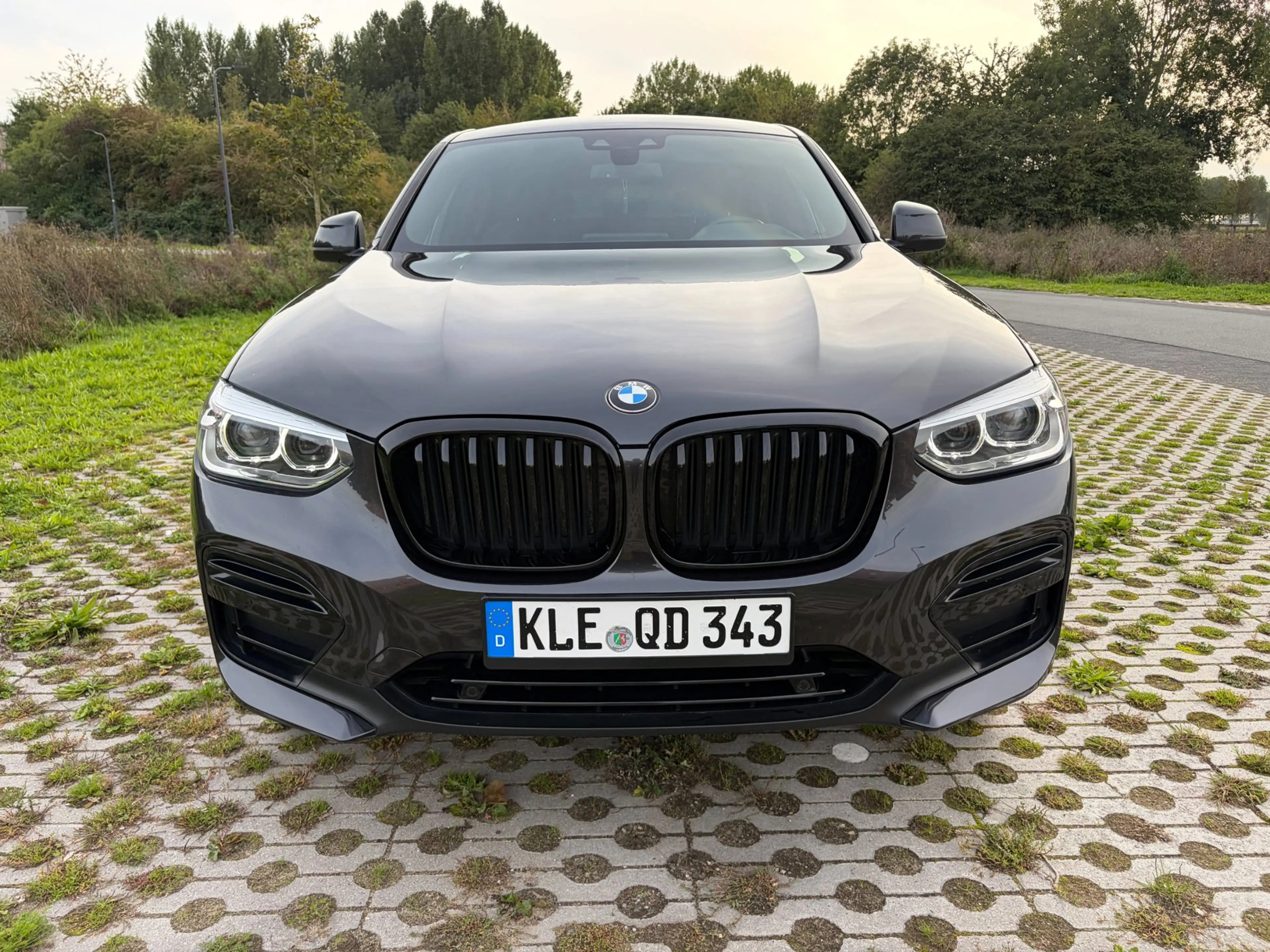 BMW X4 XDrive20i Executive Led TrekH Top Staat — photo 7