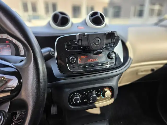 Smart Forfour view 13