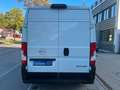 Opel Movano C Kasten/Kombi L2H2 SORTIMO REGALE/EUR6 Blanc - thumbnail 6