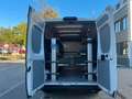 Opel Movano C Kasten/Kombi L2H2 SORTIMO REGALE/EUR6 Blanc - thumbnail 1