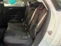 Ford Mondeo 2.0 EcoBlue 150 CV aut.ST-LINE Bianco - thumbnail 15