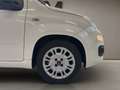 Fiat Panda Panda III 2012 1.2 easypower Lounge Gpl 69cv Blanc - thumbnail 21