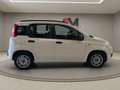 Fiat Panda Panda III 2012 1.2 easypower Lounge Gpl 69cv Blanc - thumbnail 6