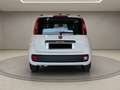 Fiat Panda Panda III 2012 1.2 easypower Lounge Gpl 69cv Blanc - thumbnail 4