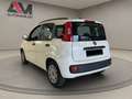 Fiat Panda Panda III 2012 1.2 easypower Lounge Gpl 69cv Blanc - thumbnail 3