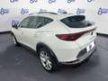 CUPRA Formentor 1.5 TSI 150CV AUTO - * Bianco - thumbnail 3
