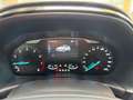 Ford Fiesta 1.0 EcoBoost Titanium NAVI KAM SHZ B&O Blau - thumbnail 11