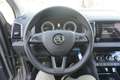 Skoda Karoq 1,6 TDI *NAVI*PANO*KAMERA*AHK* Beige - thumbnail 18