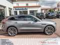 Jaguar F-Pace F-PACE D300 R-Dynamic SE*90th Edit*AHK*Pano*HUD* Grau - thumbnail 8