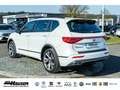 SEAT Tarraco FR 2.0 TDI DSG 7-SITZER PANO AHK STANDHZG BEATS ME Blanco - thumbnail 4