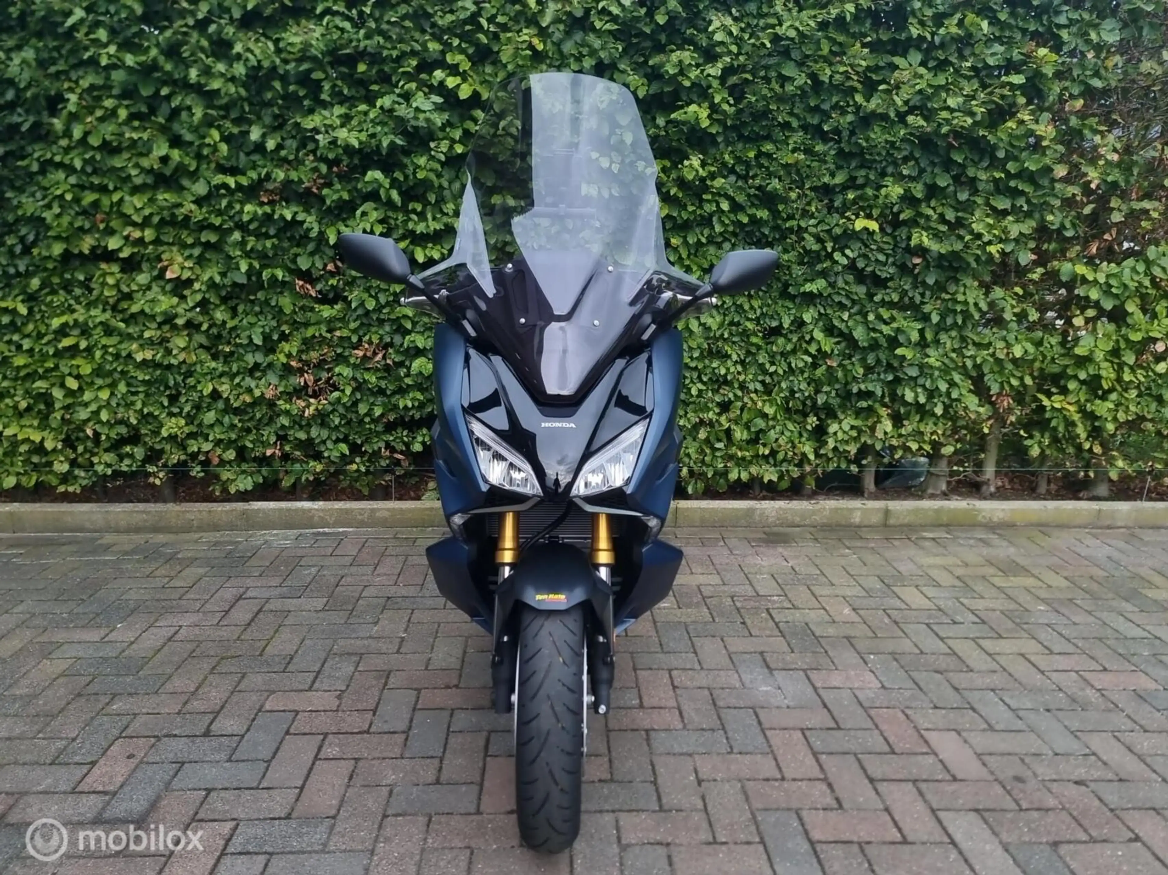 Honda Forza 750 Sport (2024) ABS Automaat BTW — photo 6