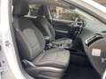 Kia Ceed / cee'd Ceed 1.6 CRDi Mild Hybrid Vision Automatik Navi Ru Blanc - thumbnail 14
