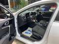 Kia Ceed / cee'd Ceed 1.6 CRDi Mild Hybrid Vision Automatik Navi Ru Blanc - thumbnail 9