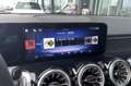 Mercedes-Benz EQB 250 EQB 250+ Business Solution Luxury | Winterpakket | Zwart - thumbnail 22