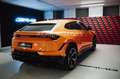 Lamborghini Urus S  Arancio Borealis  1. Hand 666 PS Orange - thumbnail 6