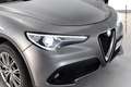 Alfa Romeo Stelvio Stelvio 2.2 Turbodiesel 210 CV AT8 Q4 Super Сірий - thumbnail 6