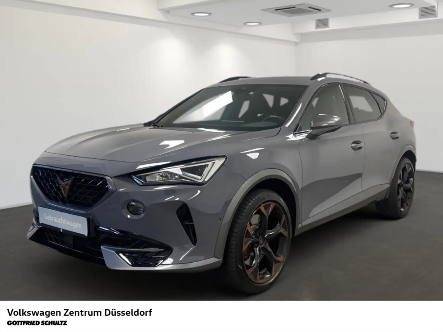 CUPRA Formentor VZ 2.0 TSI DSG 4Drive Rückfahrkamera Grau - 2