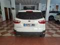 Ford EcoSport 1.5TDCi Trend 95 Wit - thumbnail 6