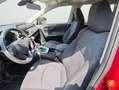Toyota RAV 4 2.5l 220H Business Burdeos - thumbnail 26