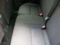 Ford Focus Turnier Champions Edition*Klima*Navi*PDC* Rot - thumbnail 14