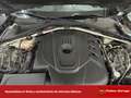 Alfa Romeo Giulia 2.2 Diesel Super Aut. 180 Grau - thumbnail 24