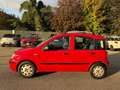 Fiat Panda 1.2 Emotion 69cv E5 Rosso - thumbnail 6