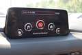 Mazda CX-5 G165 AWD Takumi Aut. **8 Fach Bereift, AHK** Schwarz - thumbnail 16
