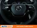 Skoda Fabia 1.0 TSI Tour Aut.*LED*TEMPO*PDC* Blau - thumbnail 19