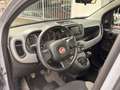 Fiat Panda 1.0 FireFly Hybrid 70cv City Life S&S 5p.ti Grijs - thumbnail 9