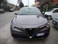 Alfa Romeo Stelvio 2.2 t Business auto euro 6 d-temp Grau - thumbnail 1