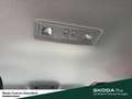 Skoda Fabia Selection Winter-Paket Lenkrad heizbar Licht- und Grijs - thumbnail 20