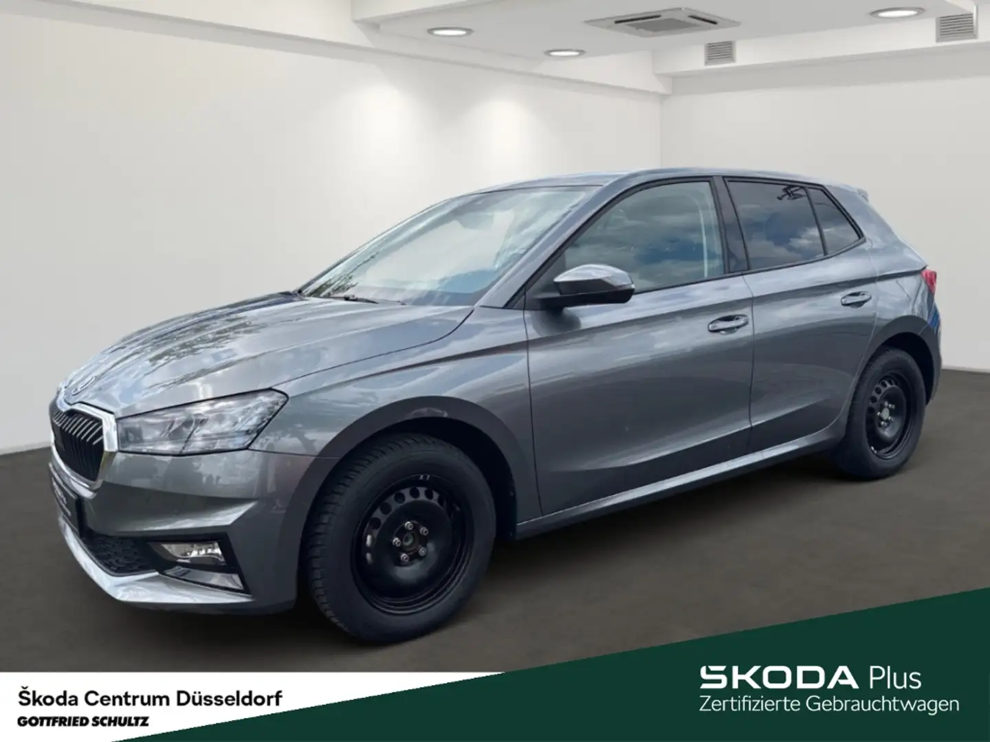 Skoda Fabia Selection Winter-Paket Lenkrad heizbar Licht- und Grau - 2