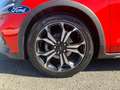 Ford Focus 1.0 Ecoboost MHEV Active 125 - thumbnail 11