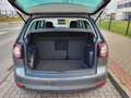 Volkswagen Golf Plus Golf Plus 1.2 TSI Style Grau - thumbnail 14