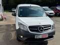 Mercedes-Benz Citan Kasten 109 CDI lang Einbauregale Weiß - thumbnail 3