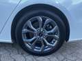 Ford Focus 155 PS Aut.MHD ST-Line X LEDER/PANO/HEADUP Blanco - thumbnail 19