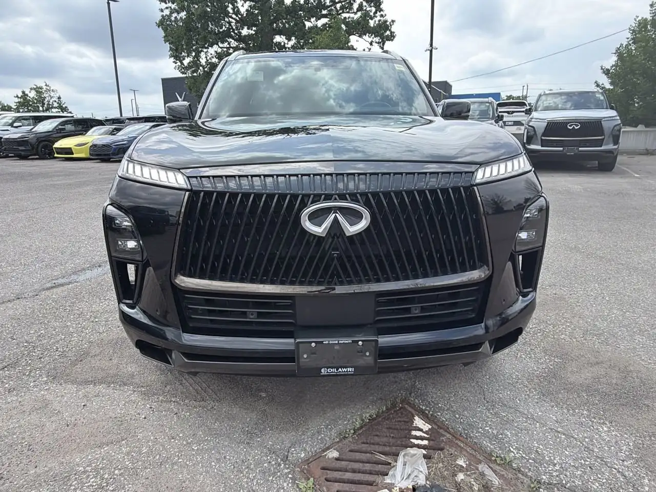 Infiniti QX80 снимка Infiniti QX80