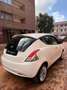 Lancia Ypsilon Ypsilon 1.2 69 CV 5 porte GPL Ecochic Gold Wit - thumbnail 11