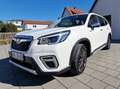 Subaru Forester Forester 2.0ie Lineartronic Platinum Blanc - thumbnail 20