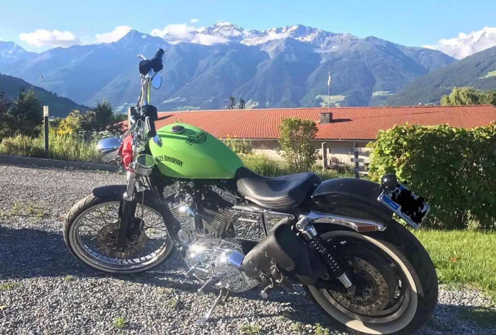 Harley-Davidson Sportster 1200 custom Vert - 2
