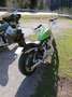 Harley-Davidson Sportster 1200 custom Verde - thumbnail 1