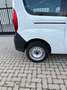 Fiat Doblo Cargo MAXI Blanc - thumbnail 6