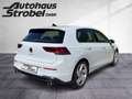Volkswagen Golf GTI Golf VIII GTI 2.0 TSI LED Plus Einparkh. DAB+ La Weiß - thumbnail 6