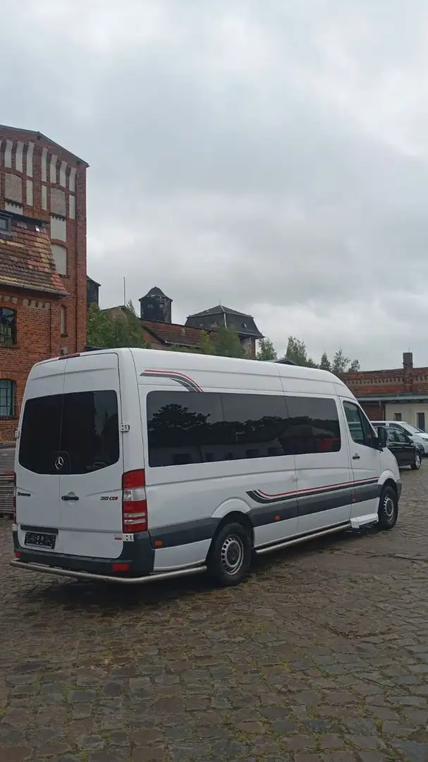 Mercedes-Benz Sprinter Kombi  313  CDI Blanco - 2