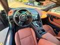 Jaguar F-Type Coupé 5.0 V8 R75 AWD Aut. 575 Verde - thumbnail 12