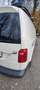 Volkswagen Caddy Caddy Kombi Maxi 2,0 TDI 4MOTION Weiß - thumbnail 4