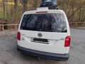 Volkswagen Caddy Caddy Kombi Maxi 2,0 TDI 4MOTION Weiß - thumbnail 8