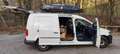 Volkswagen Caddy Caddy Kombi Maxi 2,0 TDI 4MOTION Weiß - thumbnail 2